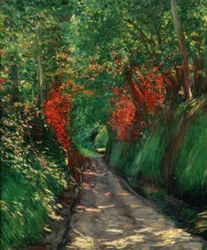 Path in the Woods